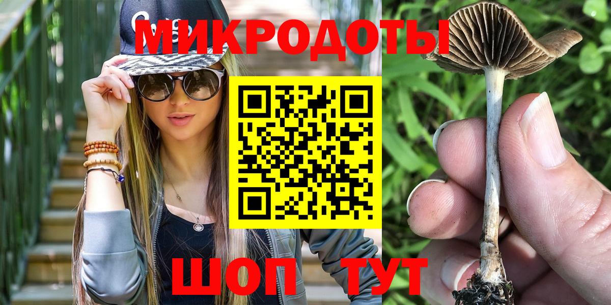 Псилоцибиновые грибы Psilocybe Реж